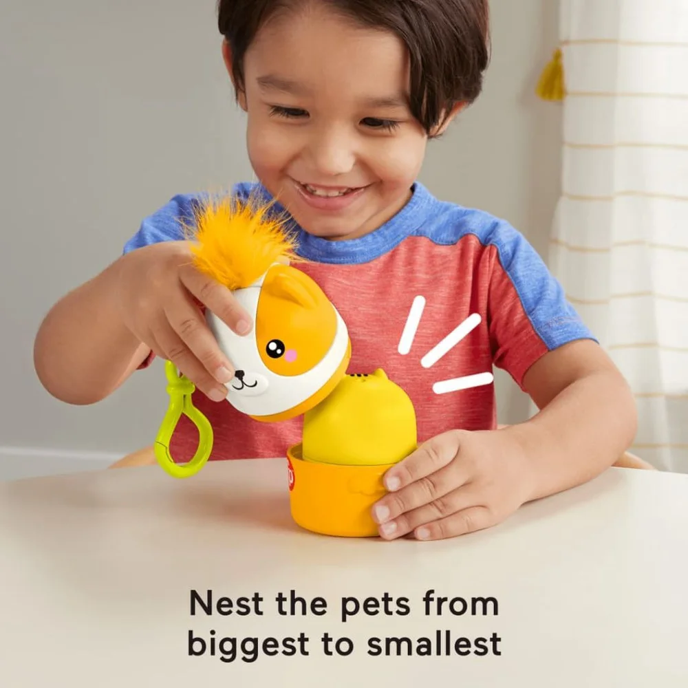 Fisher-Price FP Pets On-The-Go Nesting Pets Stacking Toy For Preschool Kids